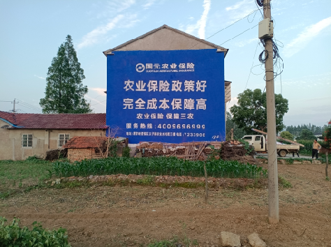 岳池墙体广告的优劣势你知道吗？